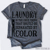 www.teestore.io-Black History Month Laundry Is The Only Thing That Should Be Separated By Color Tshirt Funny Sarcastic Humor Comical Tee | TeeStore.io