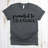 www.teestore.io-Funny Grandma Tee Shirt - Promoted To Grandma - Grandma Shirts - Pregnancy Announcement Shirt - Grandma Tee Shirt Tshirt Funny Sarcastic Humor Comical Tee | TeeStore.io